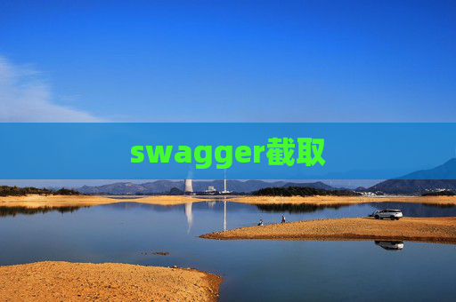 swagger截取
